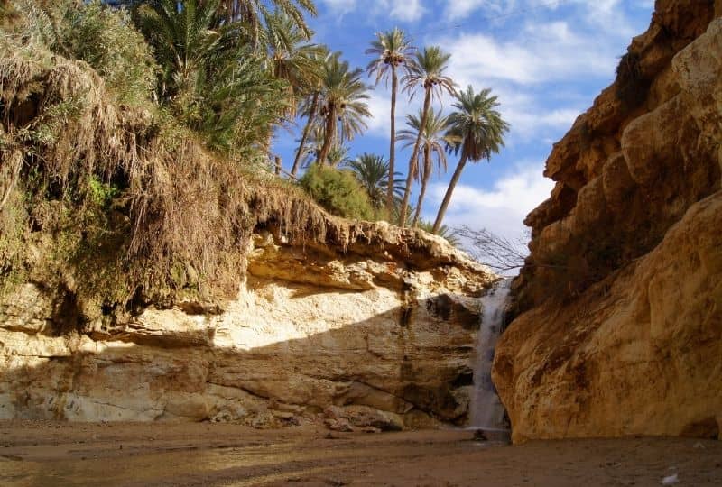 Best things to do in Nefta - The Boutique Vibe