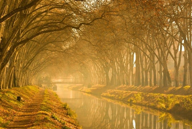 Autumn in France