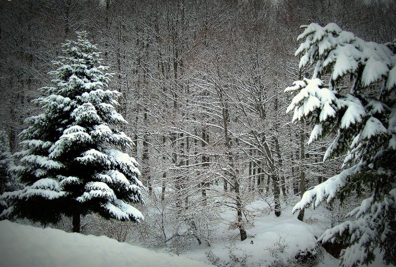 Winter in Greece