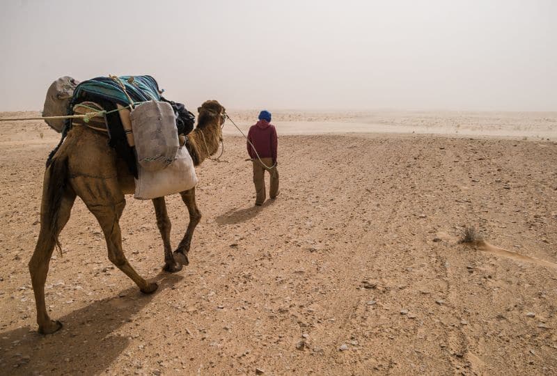 Desert Guide in Sahara