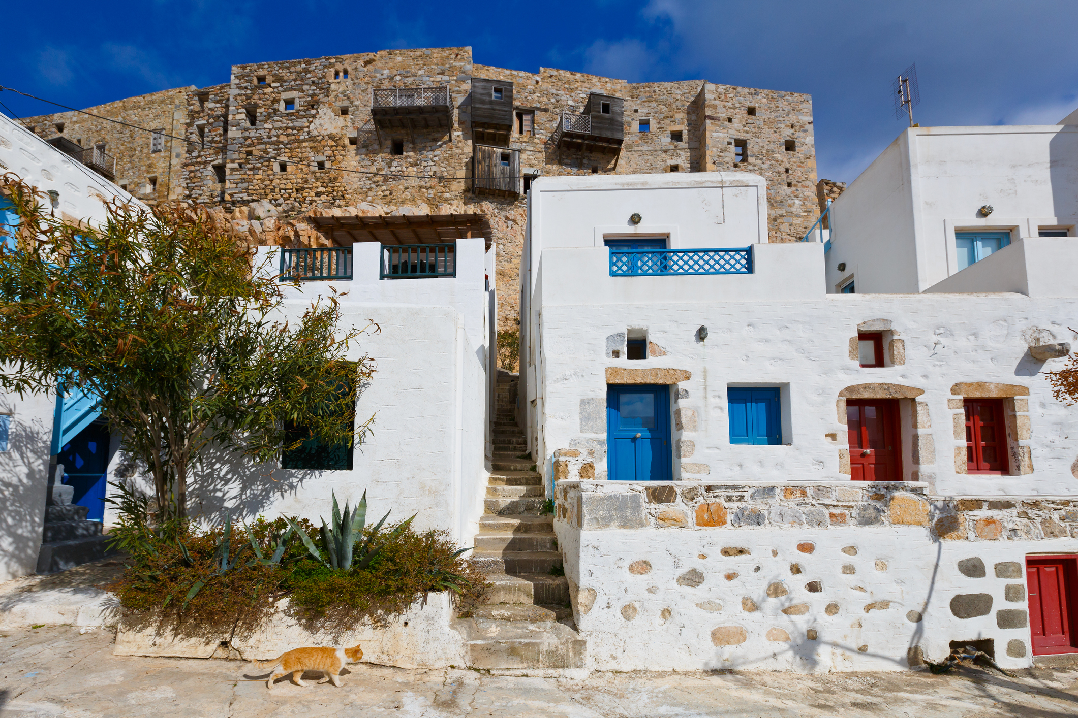 Insider Guide to Astypalaia, Greece