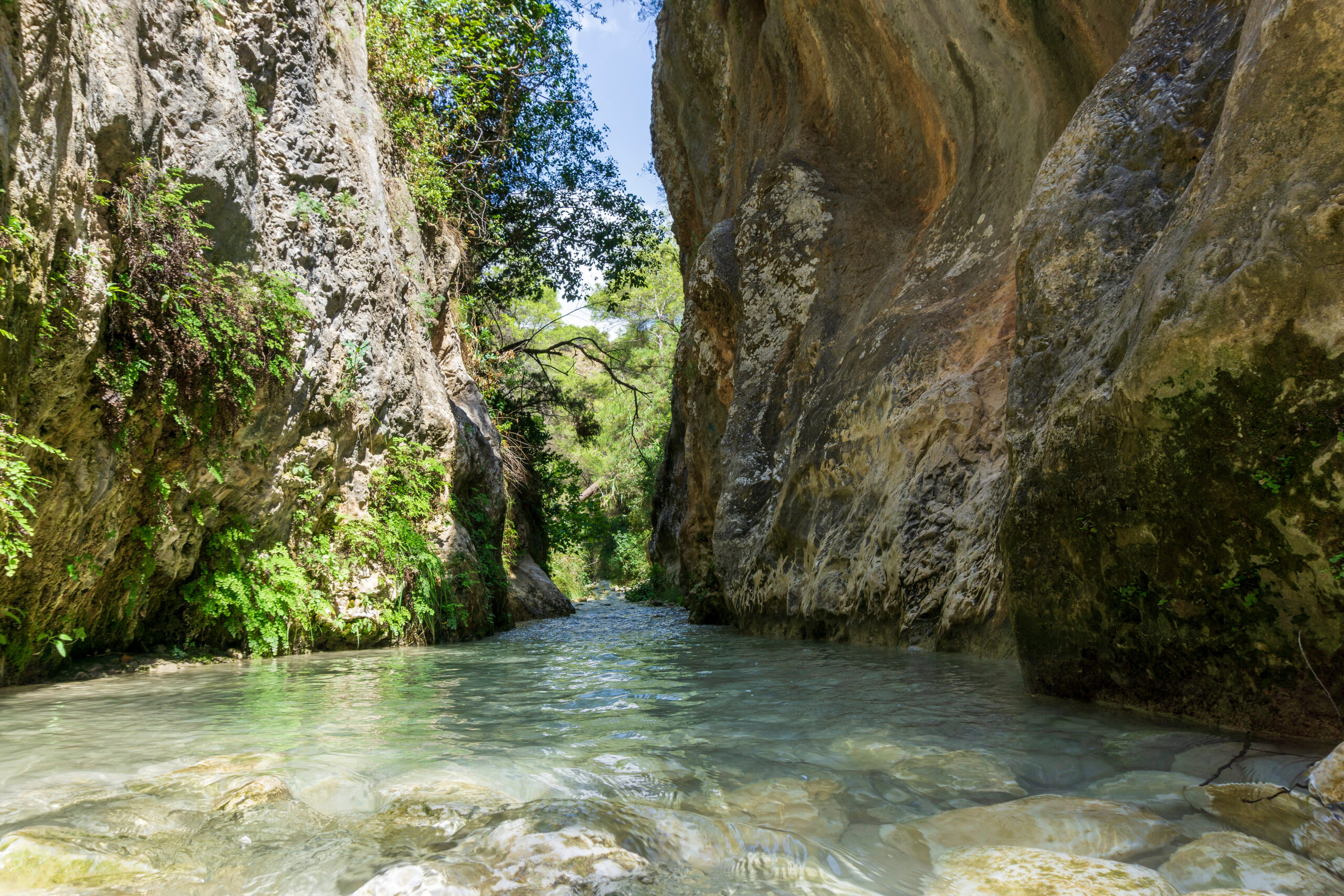 Exploring the Heart of Andalusia: A Journey Through Competa and Canillas de Albaida