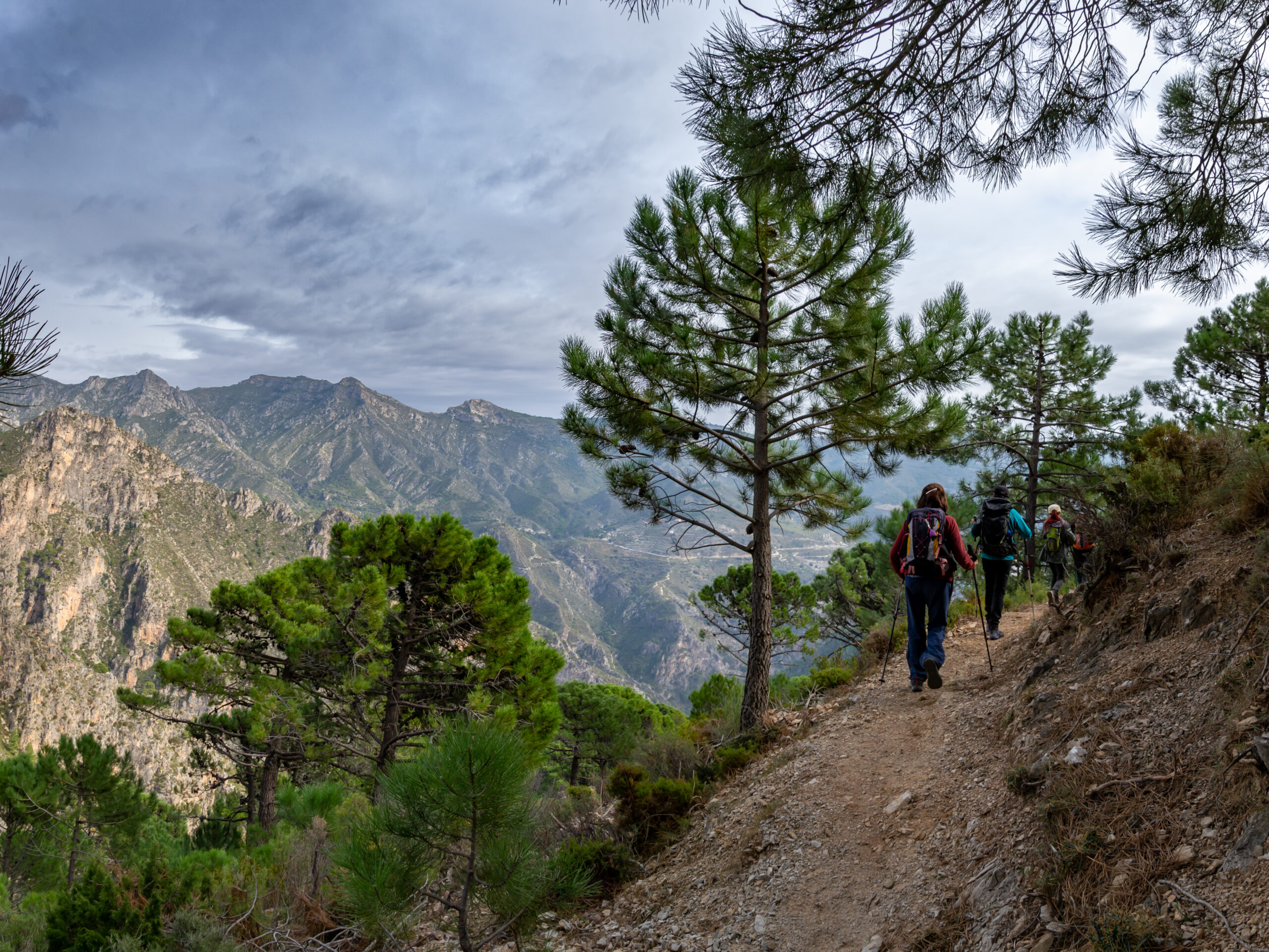 Exploring the Heart of Andalusia: A Journey Through Competa and Canillas de Albaida