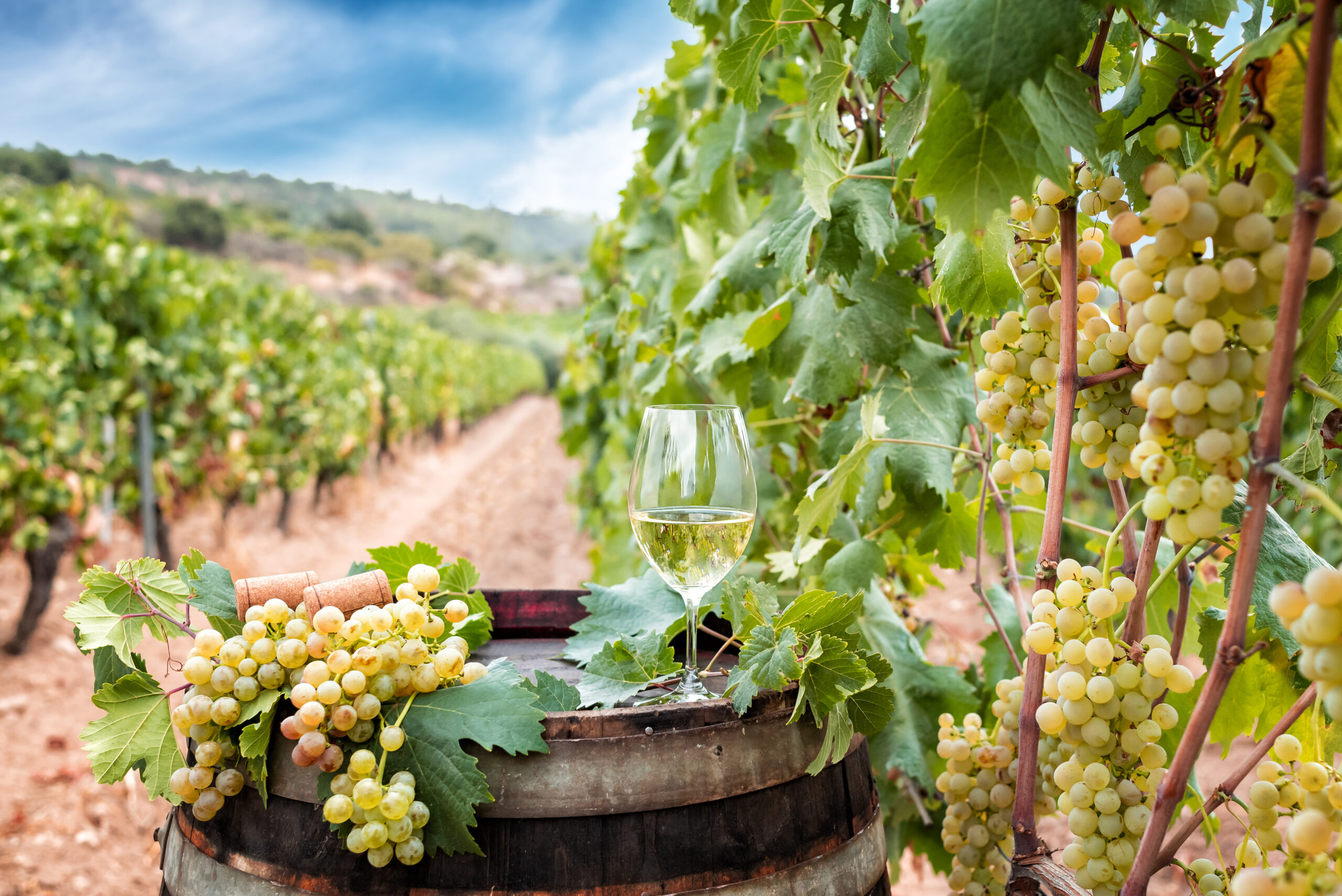 The Ultimate Traveler’s Guide to Sardinia: Beaches, Food, and Adventure